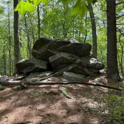 Harold Parker State Forest - Andover