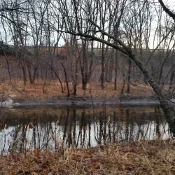 Shawsheen River Reservation - Andover
