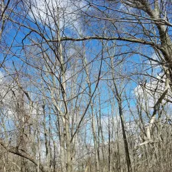 Shawsheen River Reservation - Andover