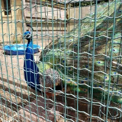 Smolak Farms - Andover