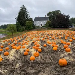 Smolak Farms - Andover