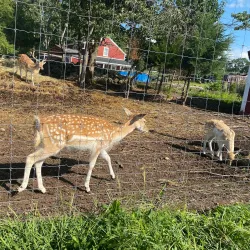 Smolak Farms - Andover