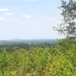 Ward Reservation - Andover