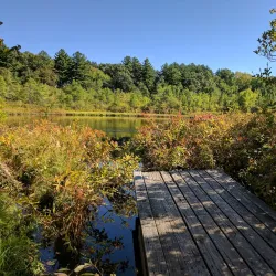 Ward Reservation - Andover