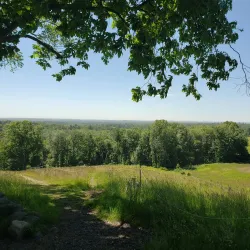 Ward Reservation - Andover