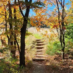 Ward Reservation - Andover