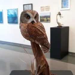 Attleboro Arts Museum - Attleboro