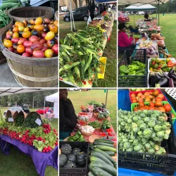 Attleboro Farmers Market - Attleboro