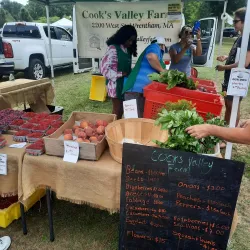 Attleboro Farmers Market - Attleboro