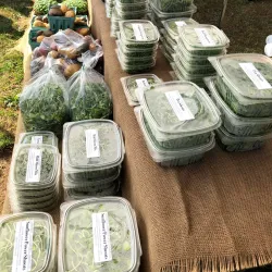 Attleboro Farmers Market - Attleboro