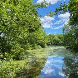 Ten Mile River Greenway - Attleboro