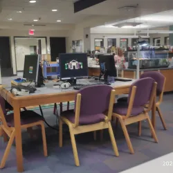 Bedford Town Library - Bedford