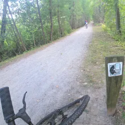 Fawn Lake Conservation Area - Bedford