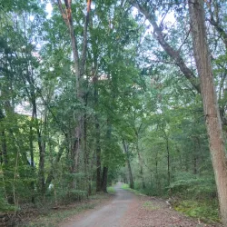 Fawn Lake Conservation Area - Bedford