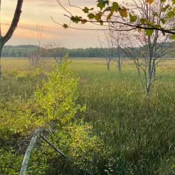 Great Meadows National Wildlife Refuge - Bedford