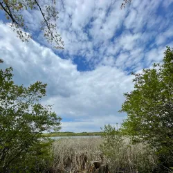 Great Meadows National Wildlife Refuge - Bedford