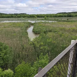 Great Meadows National Wildlife Refuge - Bedford