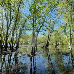 Great Meadows National Wildlife Refuge - Bedford