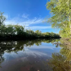 Great Meadows National Wildlife Refuge - Bedford