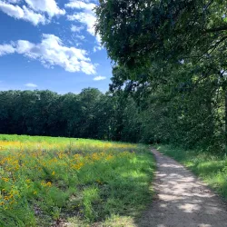 Great Meadows National Wildlife Refuge - Bedford