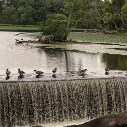 Middlesex Canal - Bedford