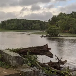 Middlesex Canal - Bedford