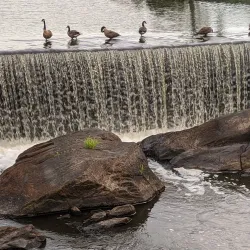 Middlesex Canal - Bedford