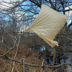 Shawsheen River Trail - Bedford