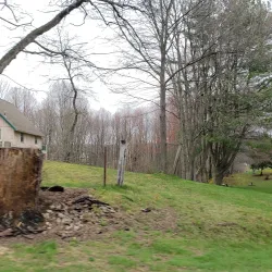 Belchertown State Forest - Belchertown