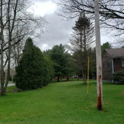 Belchertown State Forest - Belchertown