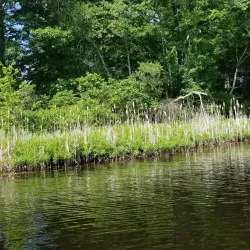 Lake Metacomet - Belchertown
