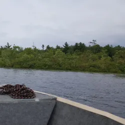 Lake Metacomet - Belchertown