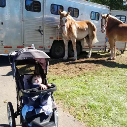The Belchertown Fairgrounds - Belchertown