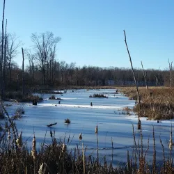 The Chestnut Hill Wildlife Sanctuary - Belchertown