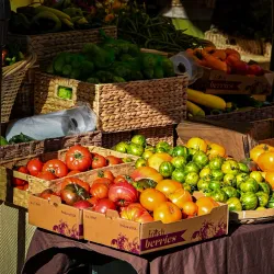 Bellingham Farmers Market - Bellingham