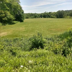 Blackstone River and Canal Heritage State Park - Bellingham