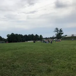 Clyde F. Brown Memorial Park - Bellingham