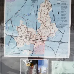 Wrentham State Forest - Bellingham