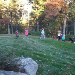 Wrentham State Forest - Bellingham