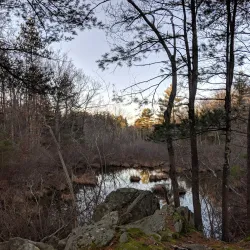 Wrentham State Forest - Bellingham