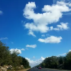 Wrentham State Forest - Bellingham