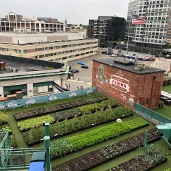 Fenway Park - Boston