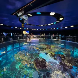 New England Aquarium - Boston
