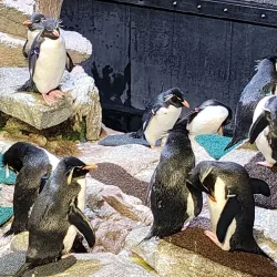 New England Aquarium - Boston