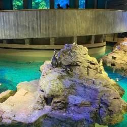 New England Aquarium - Boston