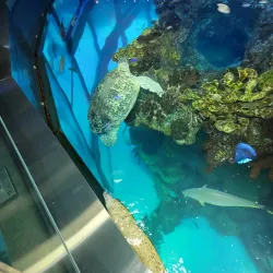 New England Aquarium - Boston