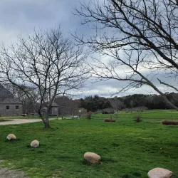 Bourne Farm - Bourne