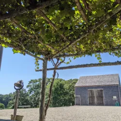 Bourne Farm - Bourne