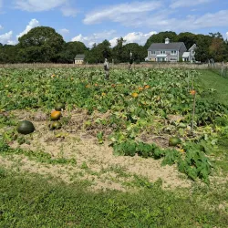 Bourne Farm - Bourne