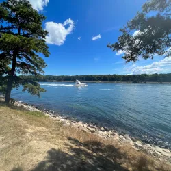 Bourne Scenic Park - Bourne